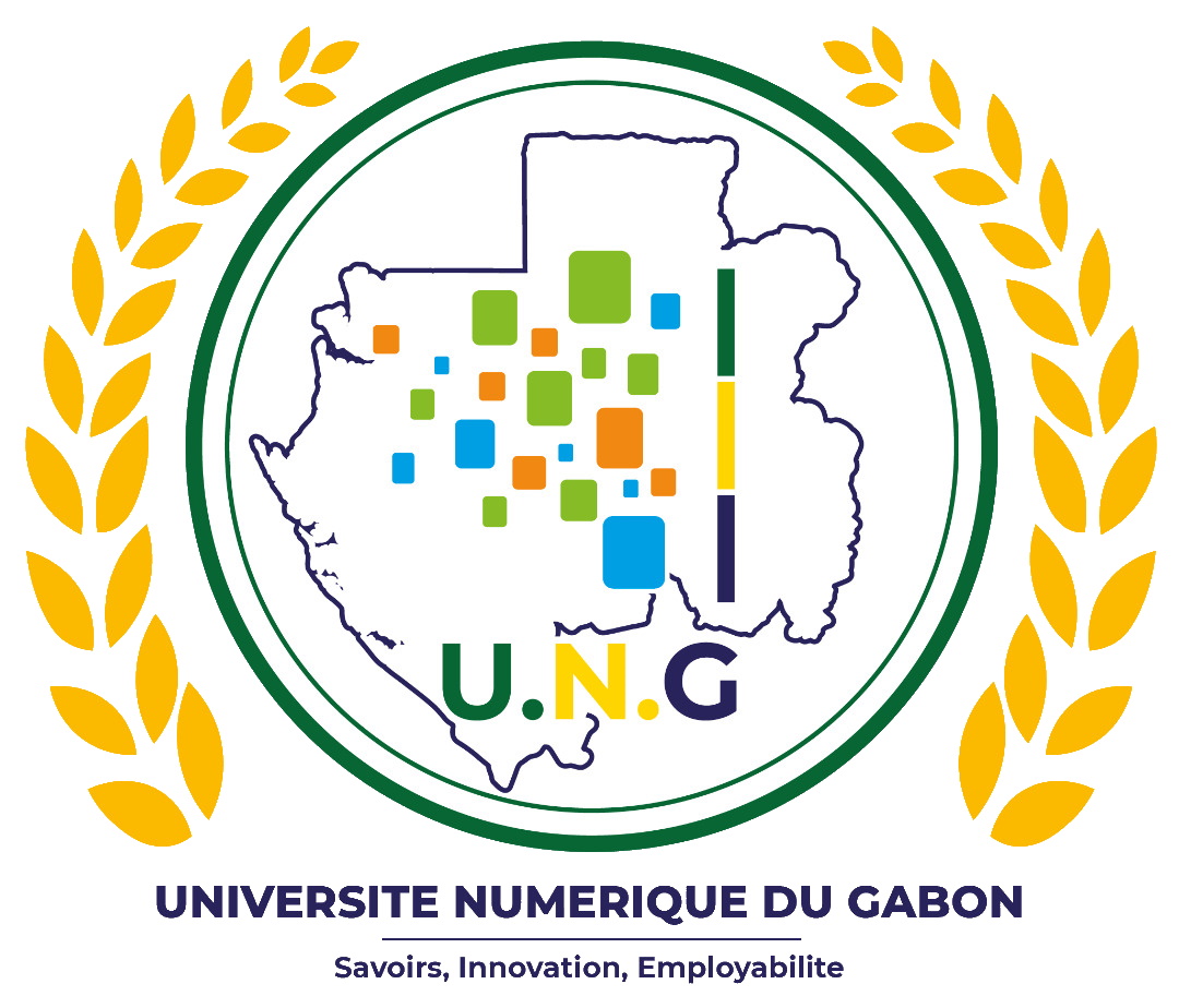 Enseignement supérieur Le Gabon fait un bond avec la création l